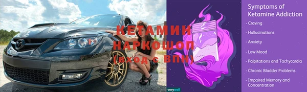 крисы Алексин