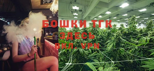 тгк Алзамай