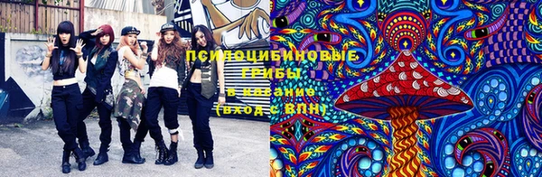 тгк Алзамай
