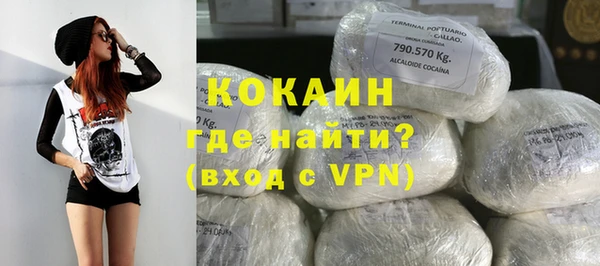 тгк Алзамай